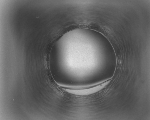 X0000069801252200605261713