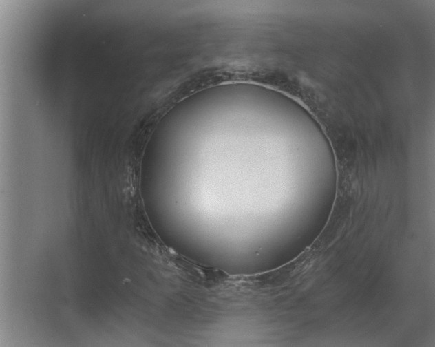 X0000069801253200605261713