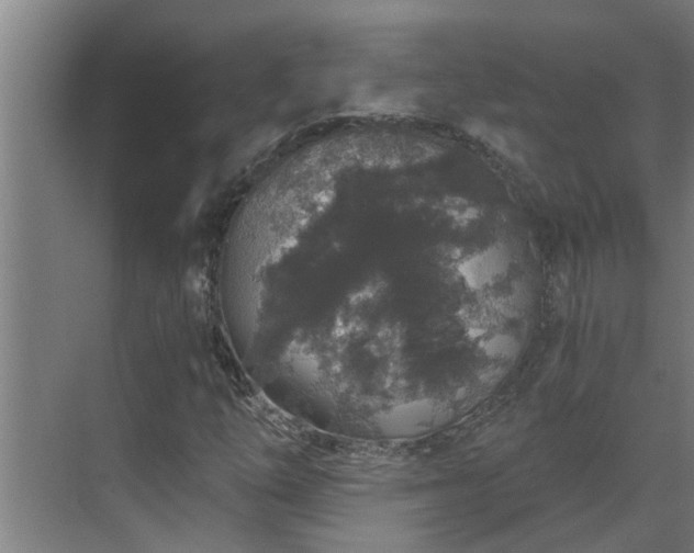 X0000069801254200605261713