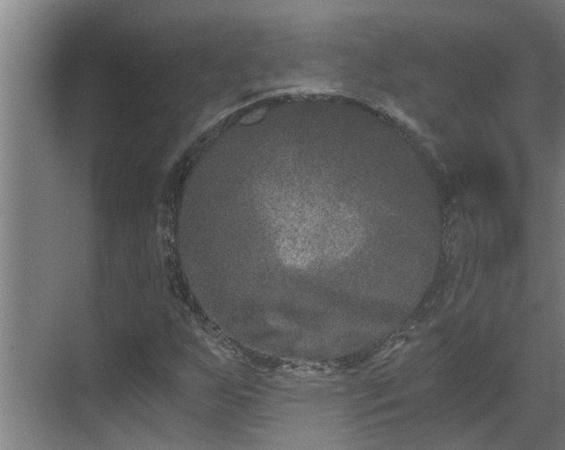 X0000069801255200605261713