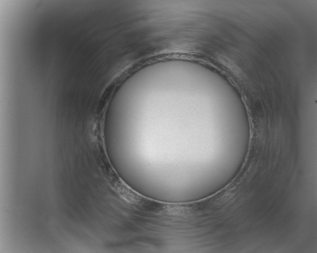 X0000069801258200605261713