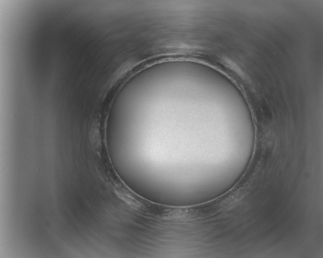 X0000069801259200605261713