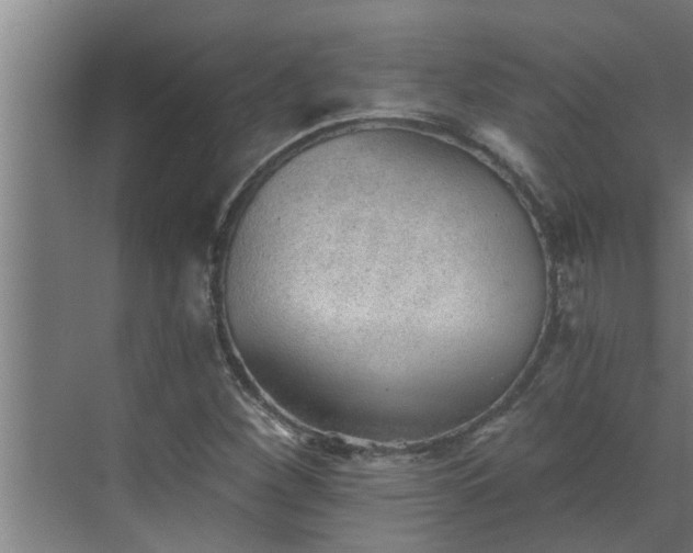 X0000069801260200605261713