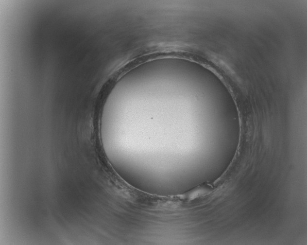 X0000069801261200605261713