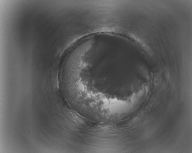 X0000069801262200605261713