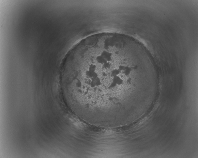 X0000069801263200605261713