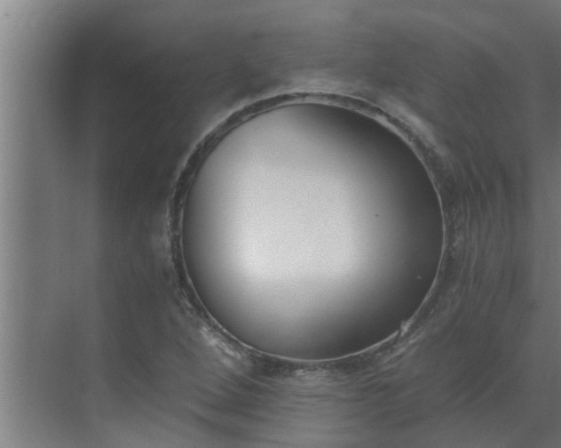 X0000069801264200605261713