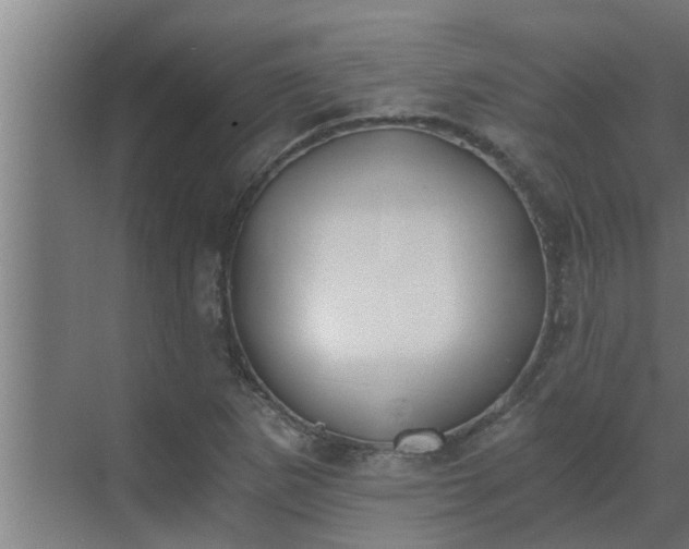 X0000069801265200605261713