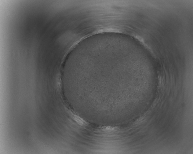 X0000069801266200605261713