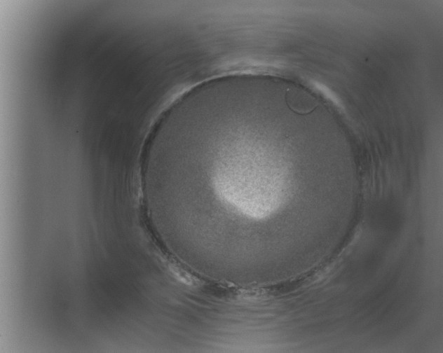 X0000069801267200605261713