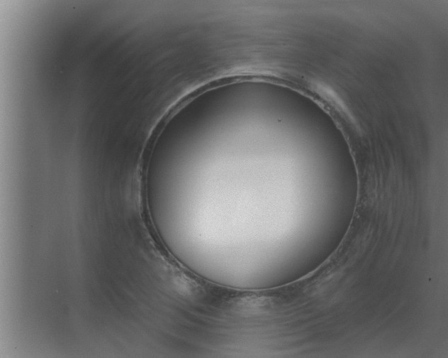 X0000069801268200605261713