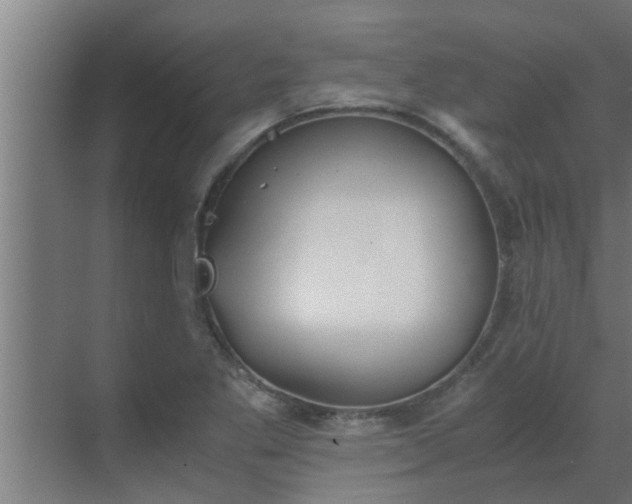 X0000069801269200605261713