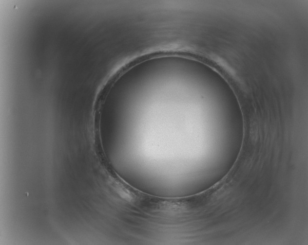 X0000069801270200605261713