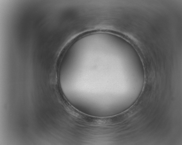 X0000069801271200605261713