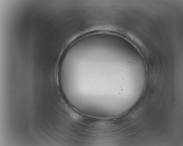 X0000069801272200605261713