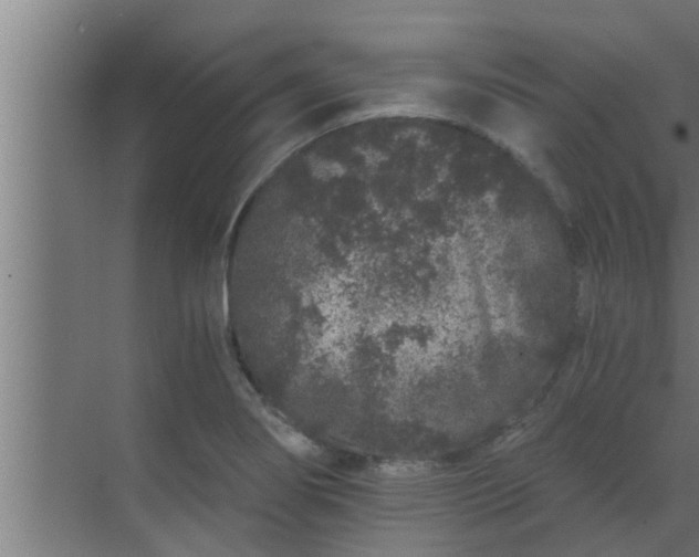 X0000069801274200605261713