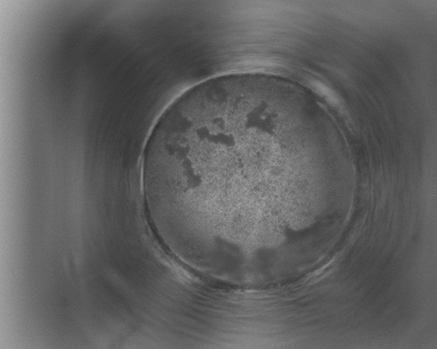 X0000069801275200605261713