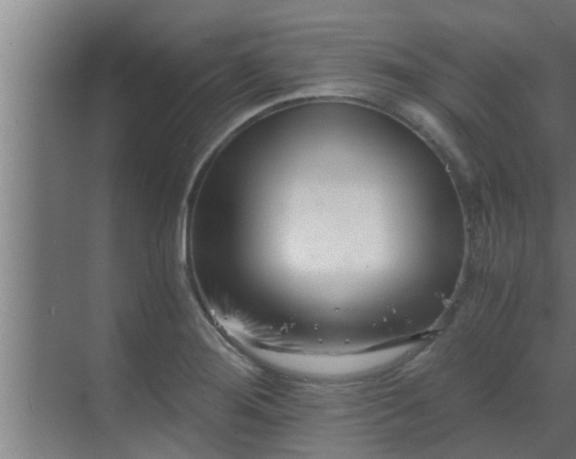 X0000069801276200605261713