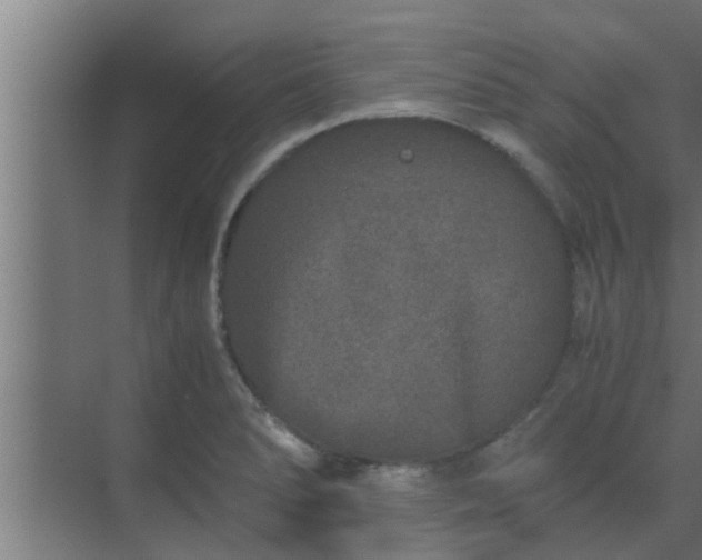 X0000069801278200605261713