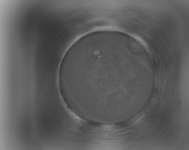 X0000069801279200605261713