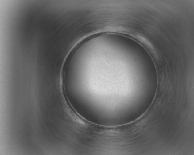 X0000069801280200605261713