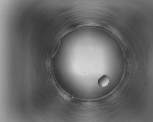 X0000069801281200605261713