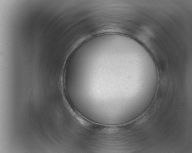 X0000069801282200605261713