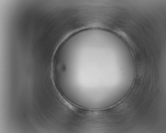 X0000069801286200605261713