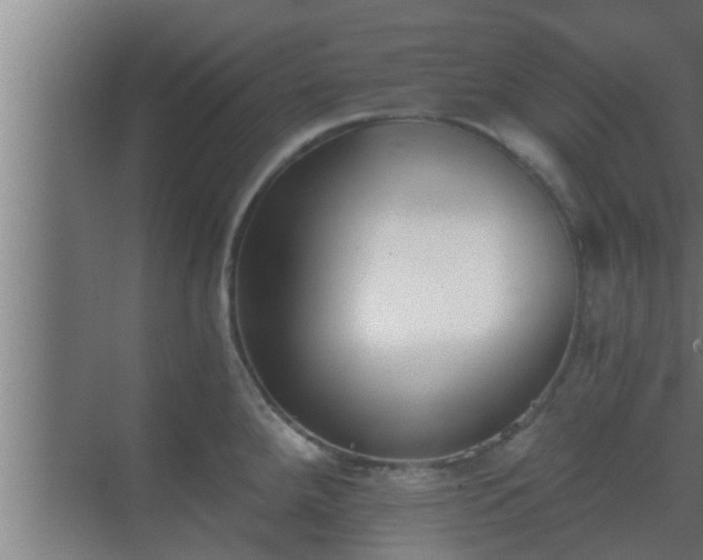 X0000069801288200605261713