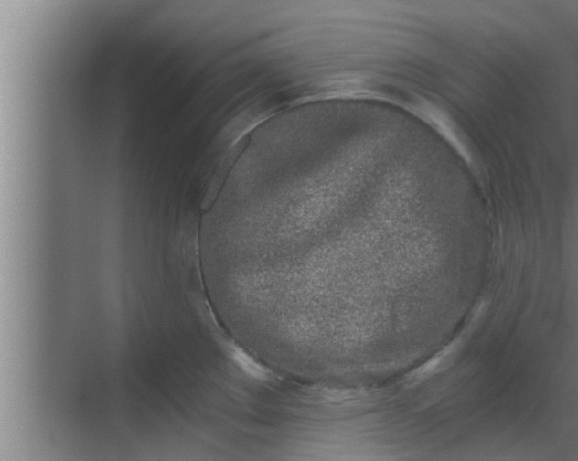 X0000069801289200605261713