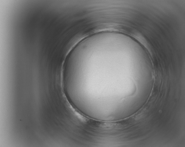 X0000069801290200605261713