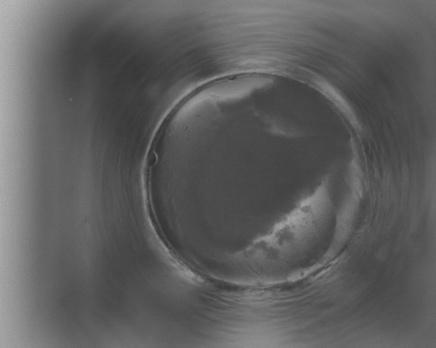 X0000069801291200605261713