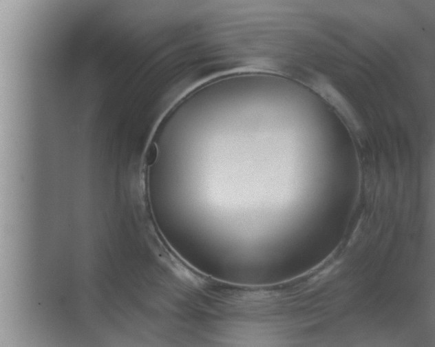 X0000069801292200605261713