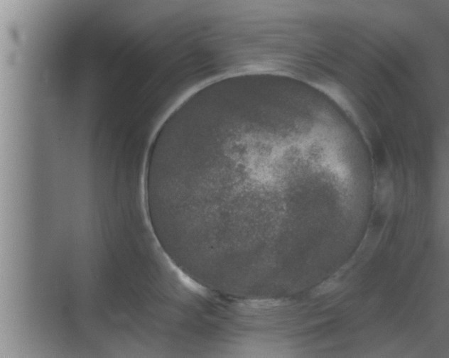 X0000069801294200605261713