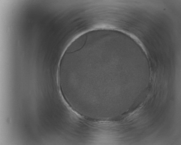 X0000069801295200605261713