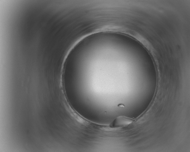 X0000069801296200605261713