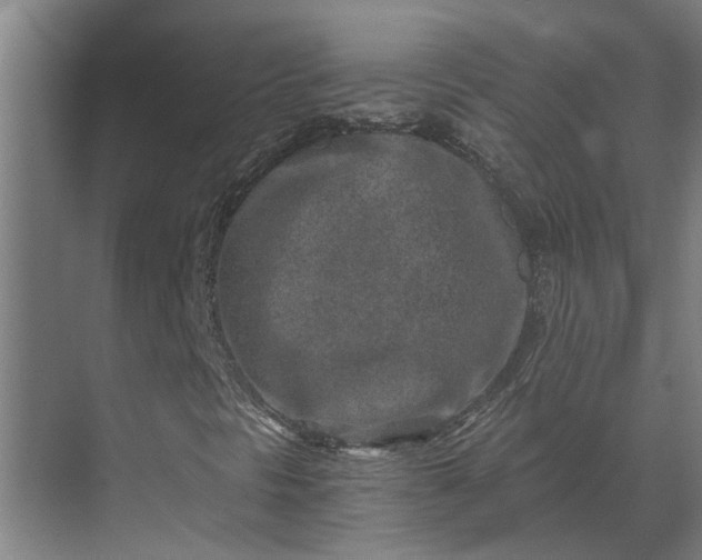 X0000069801297200605261712