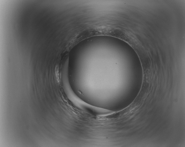 X0000069801298200605261712