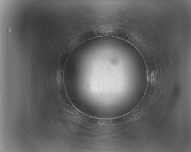 X0000069801299200605261712