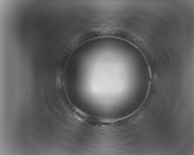 X0000069801300200605261712