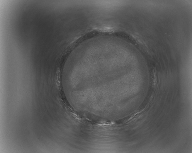 X0000069801301200605261712