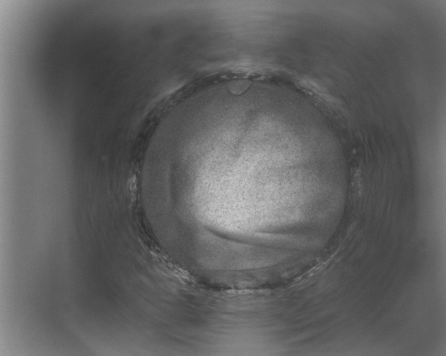 X0000069801302200605261712