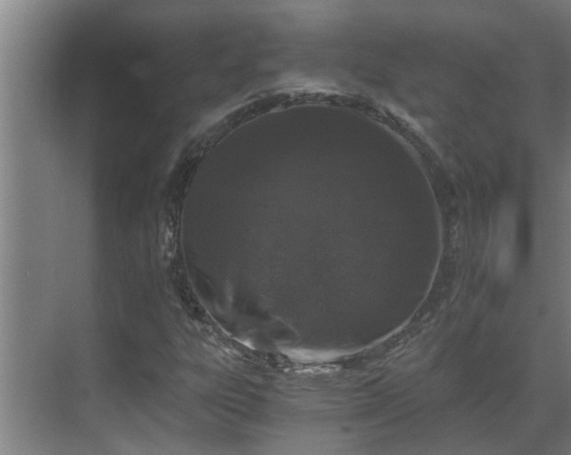 X0000069801303200605261712