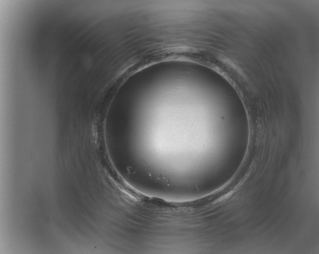 X0000069801305200605261712