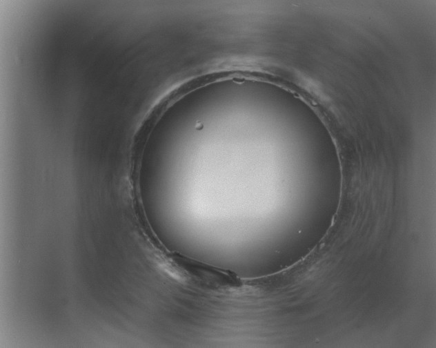 X0000069801312200605261712