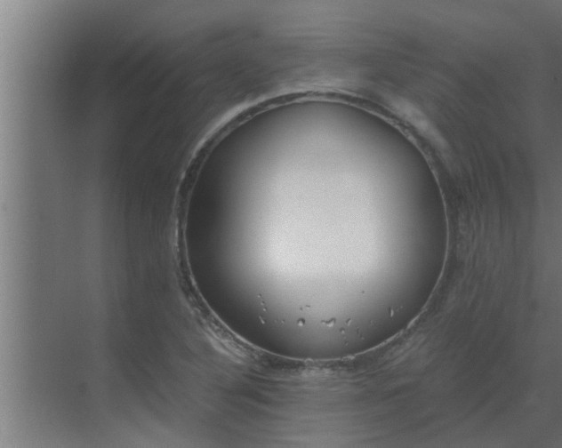 X0000069801316200605261712