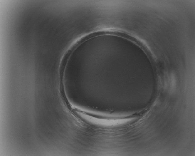 X0000069801319200605261712