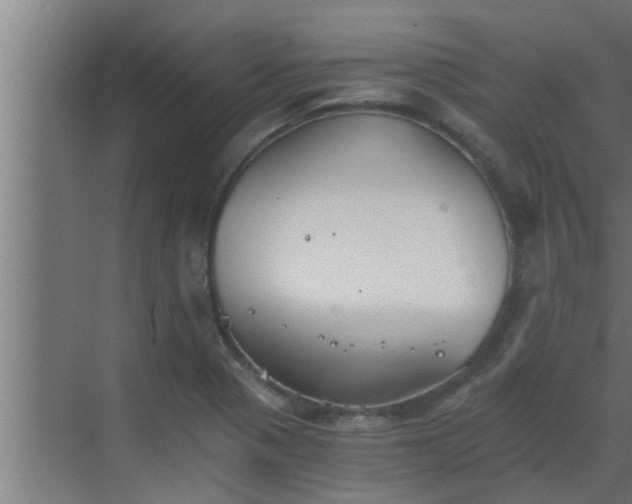 X0000069801321200605261712