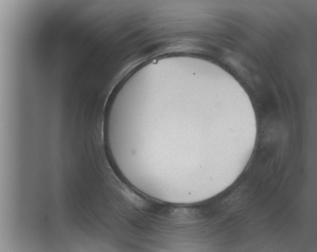 X0000069801322200605261712