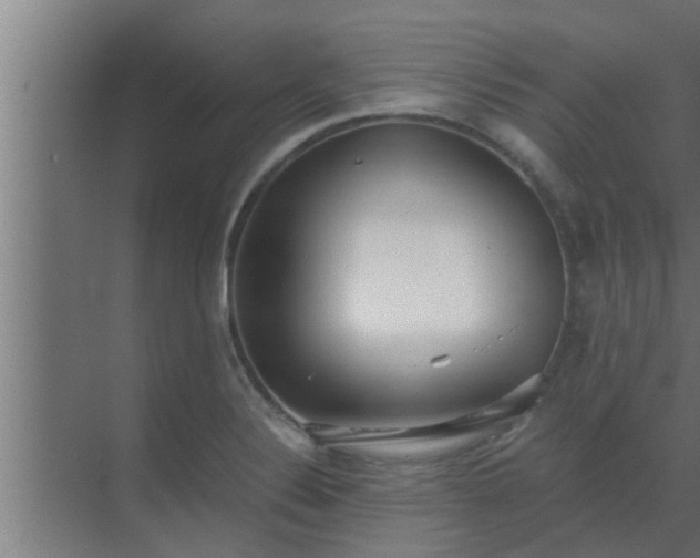 X0000069801324200605261712